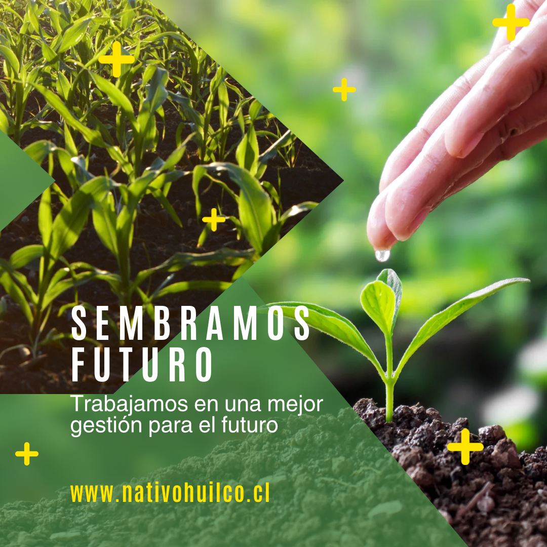 Quienes Somos