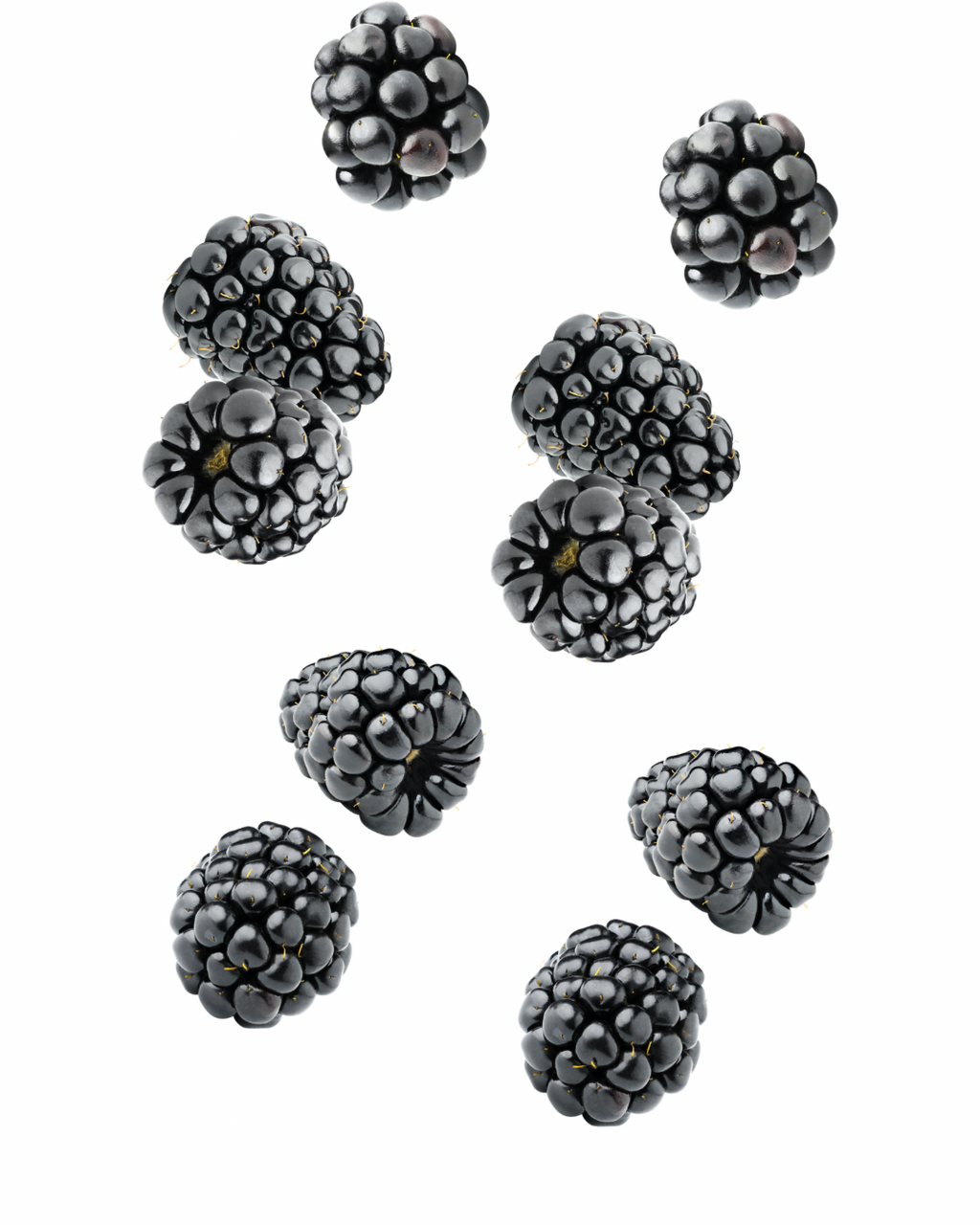 Moras Congeladas