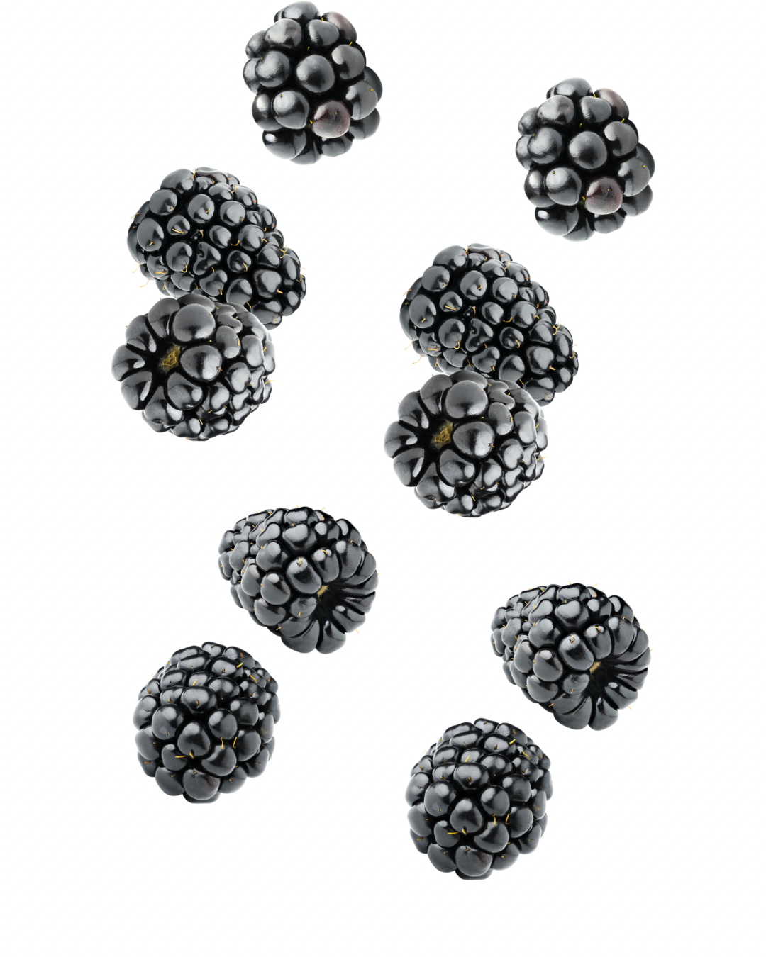 Moras Congeladas