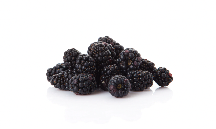 Moras Congeladas